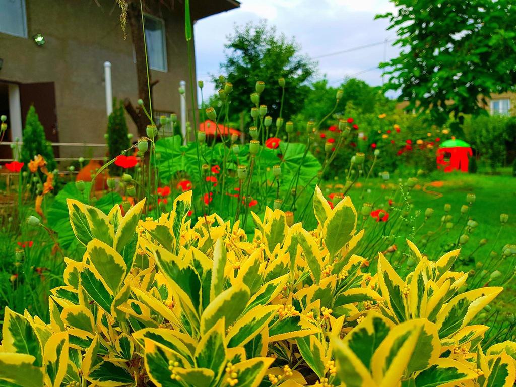 Beneficios de las herramientas de batería para el jardín