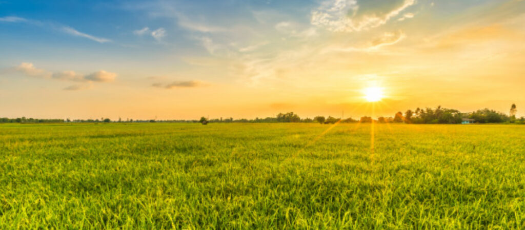 trabajar-en-el-campo-ventajas-incovenientes