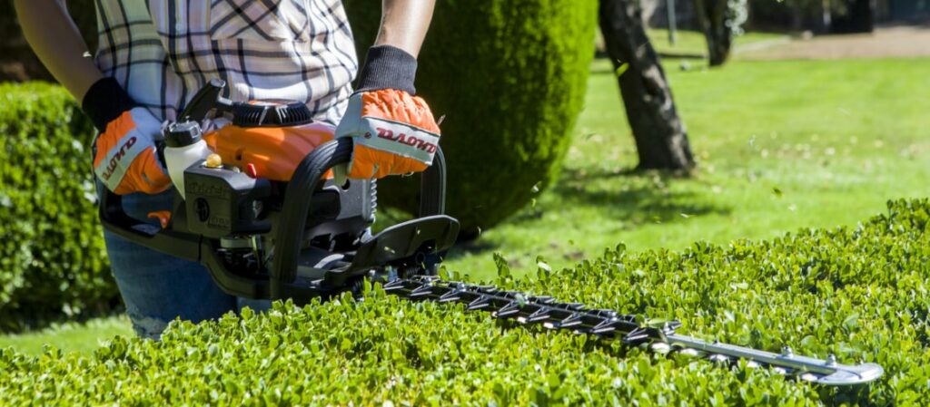 consejos-poda-setos-jardineria